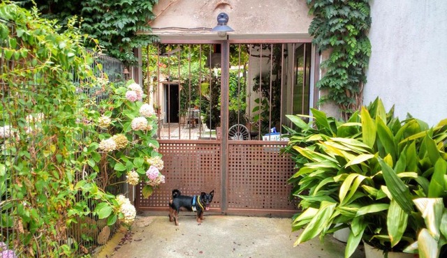 Marakasa B&B