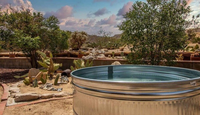 @ Marbella Lane - Perfect Desert Escape