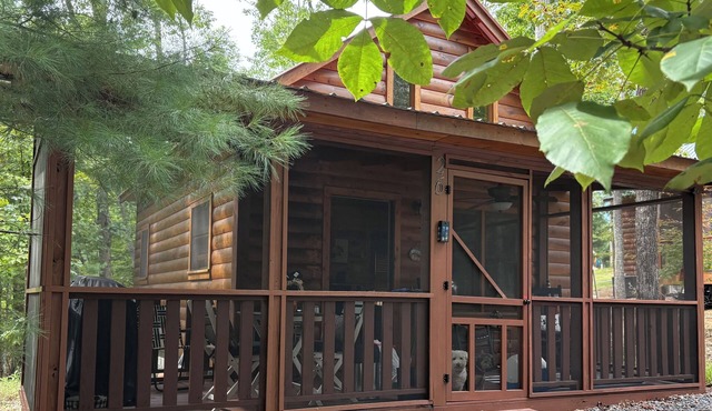 March into spring in this cute, cozy cabin getaway! Weekday deals, pet friendly!