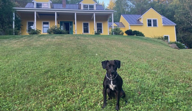 March Special! Cozy Ski Retreat in Woodstock, 21 Acres, Views, Dog-friendly