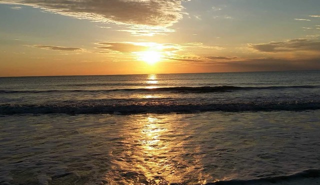 Marco Island Breeze in Naples