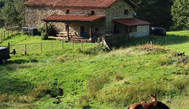 Marga cabin, comfort in the middle of nature, without missing anything.