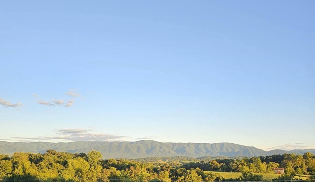 MARGARET'S PLACE ON SUNNYSIDE. A charming home for countryside relaxation