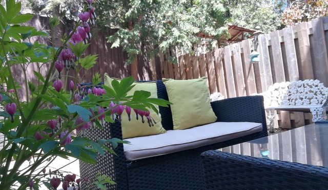 Margie Townhome Suites