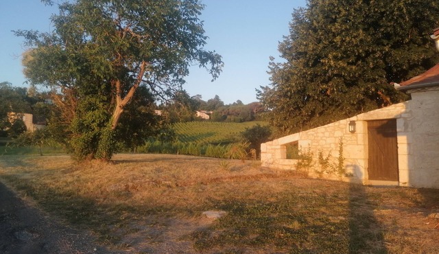 Margot's beautiful home