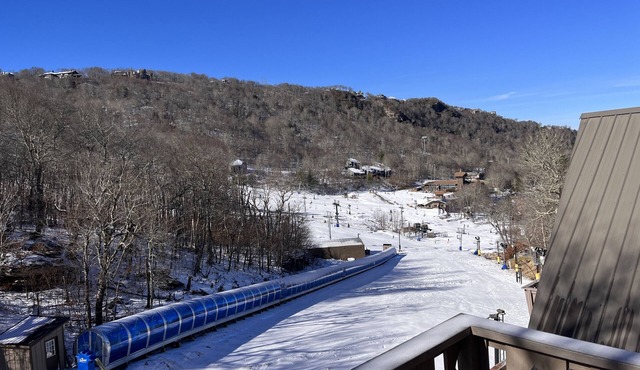 Mariah Skiways Chalet Condo on Carolina Caribbean Slope w/Magic Carpet ski lift!