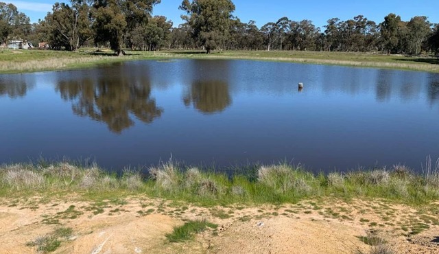 Mariam Farm stay next to Hume Highway