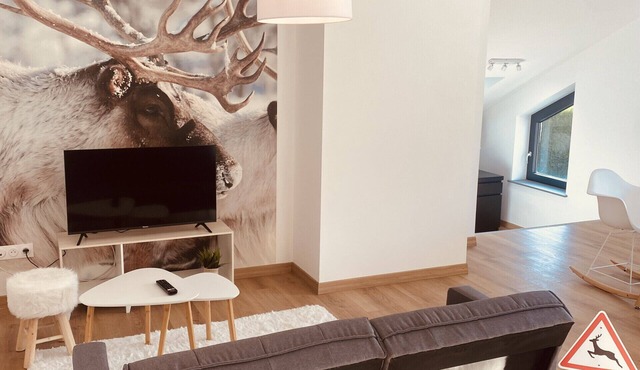 MARIEFACTURE AS IN LAPLAND