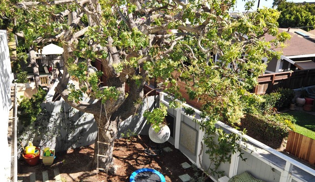 Marina Del Rey - Steps to the sand - Incredible rooftop deck