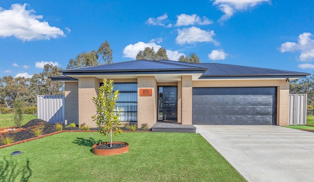 Marina Views Summary: