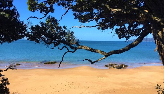 Mariner's Post - Views, Stylish, Close to Beaches