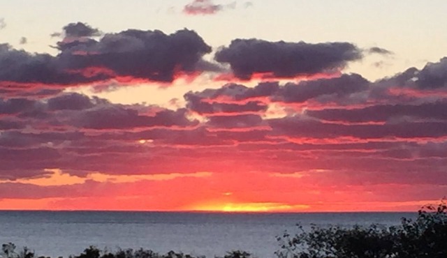 "Marius" - 30m from the sea by Interhome