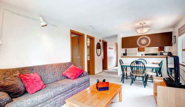 Mark IX #8: Outstanding Location - Close to Town and Slopes - Free Shuttle