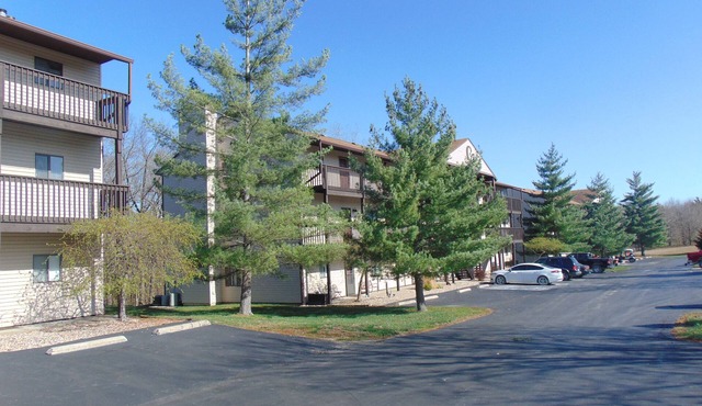 Mark Twain Lake Condo