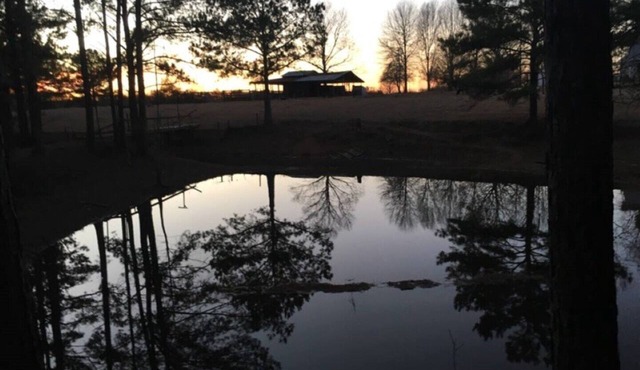 Markham Place: Private Farm Fun!