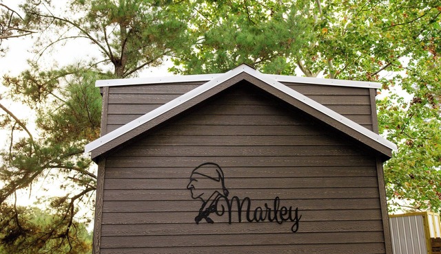 Marley: Cozy tiny cabin on Christmas Tree Farm in South Georgia