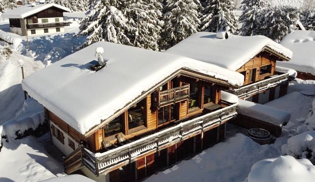 Marmotte Mountain Zenith Village - sleeps 29 guests