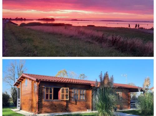 Marne LAC DU DER JOLI CHALET AU CHARME DU DER