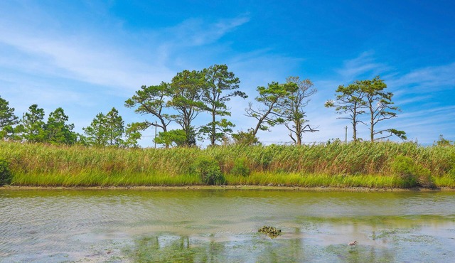 Marsh Point | Marsh Views + Shared Dock, Screened Porch Dining, Cozy Island Townhome
