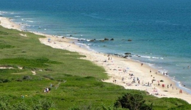 Martha's Vineyard Cozy Getaway Near Picturesque Philbin Beach