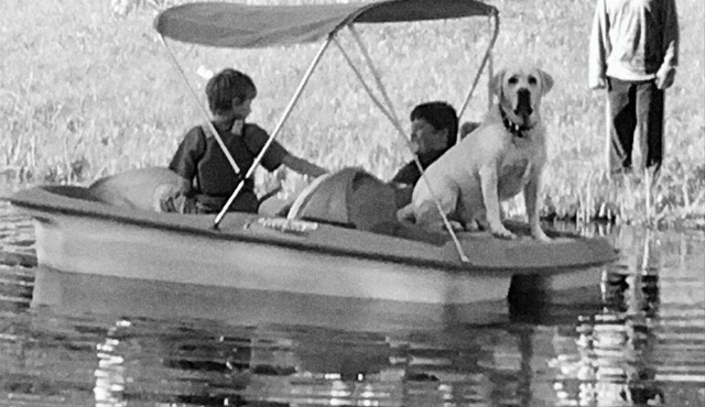 Marvelous 1-bedroom cabin “Moose”in Ririe