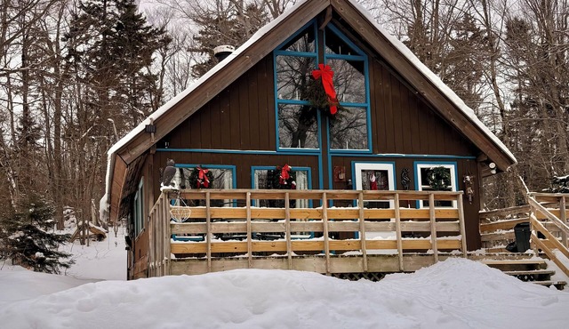 Marvelous 3-bedroom chalet in charming Wilmington