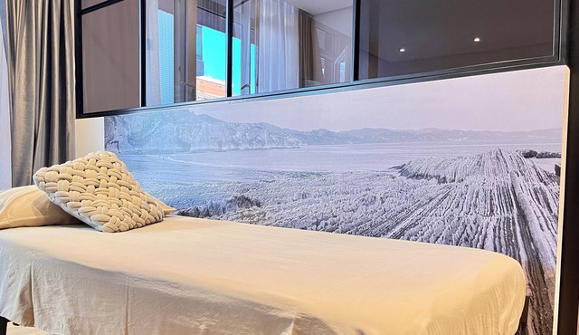 Marvelous apartament with WiFi,parking and metro card in Bilbo
