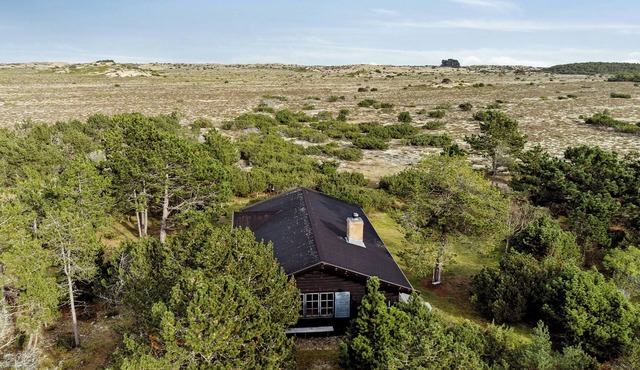 Marvelous log house by Anholt's desert