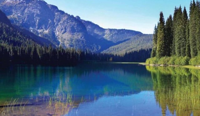 Marvelous Lux 5BR/Hot Tub/BBQ Grill/Scenic View!