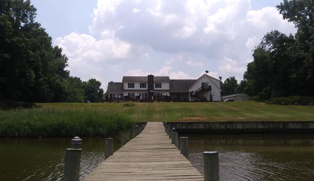 Marvels on the creek