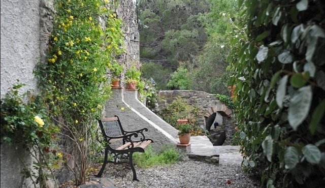 Mas Ancien en Pleine Nature