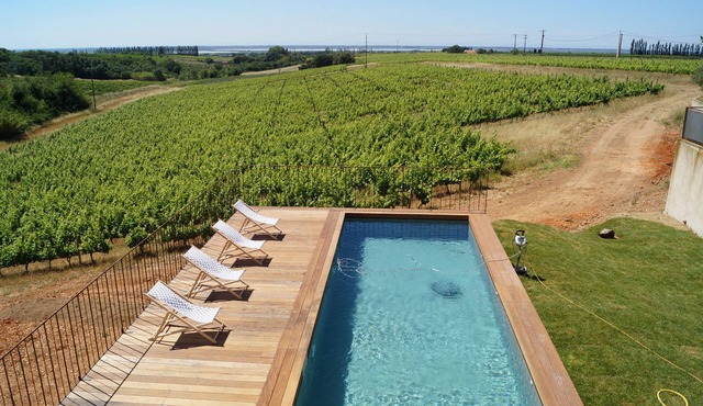 MAS AT THE HEART OF A VINEYARD in AB