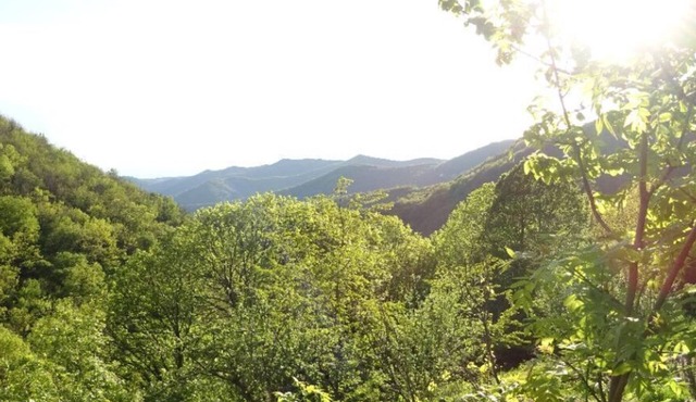 Mas Cévenol Isolé Dans un Oasis de Verdure