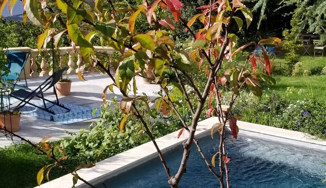 Mas Cévenol de Charme