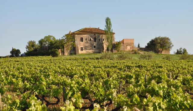 Mas Castell de Gimenelles
