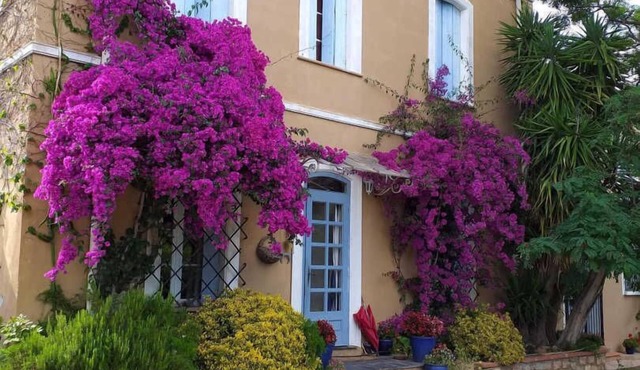 Mas cayrol - RIVESALTES