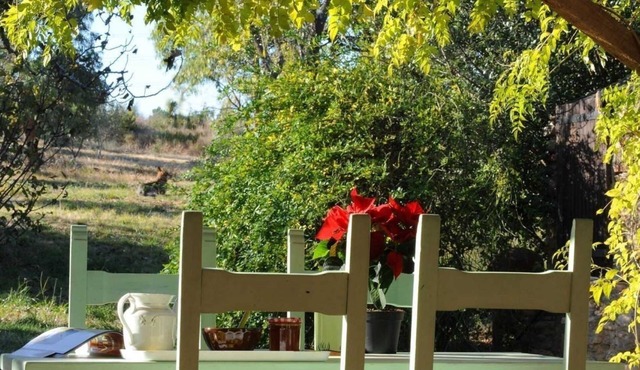 Mas d'en costeseque - BANYULS-DELS-ASPRES