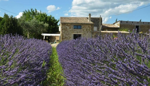 Mas de L'amme