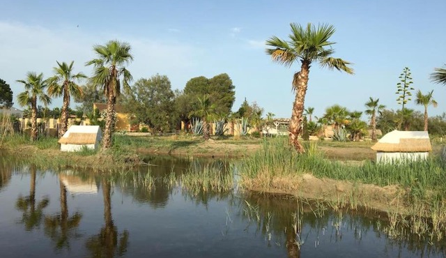 Mas de l isle sauvage aigues mortes