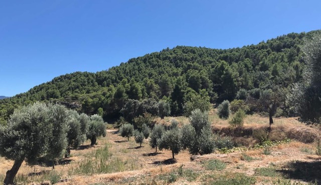 MAS DE LA CREU MASIA
