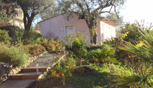 Mas de la Galinette "Pivoine" (Peony)