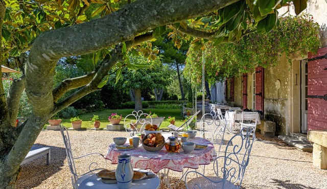Mas de la Treille - pool - garden
