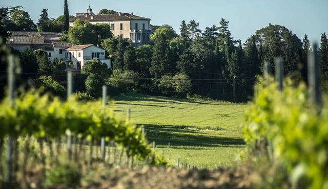 Mas de Puechredon, Grande Demeure Familiale au Coeur D'un Domaine Viticole !