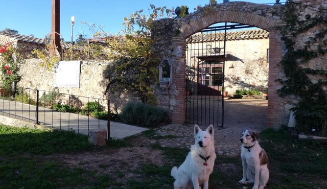 Mas Del Llop Blanc - Dog friendly Hostal Rural - B&B