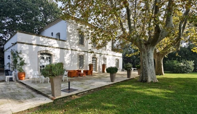 Mas des Bécasses en campagne, 15 min d'Arles, 10 personnes