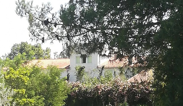 Mas des Marbres Sauvages property 32 people