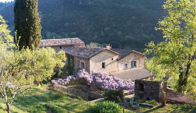 Mas en Cevennes