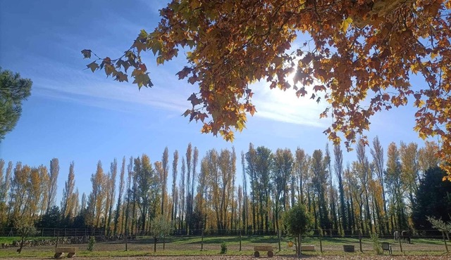 Mas en Pierre du Xvième Rénové au Cœur de la Provence, Nature et Calme Garantis