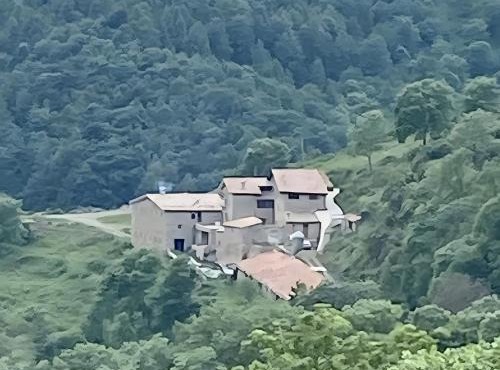Mas Fogonella