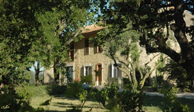 Mas in Provence surrounded by vineyards. Calm assured